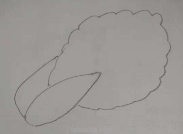 蔬菜怎么画简笔画 胡萝卜简笔画怎么画？