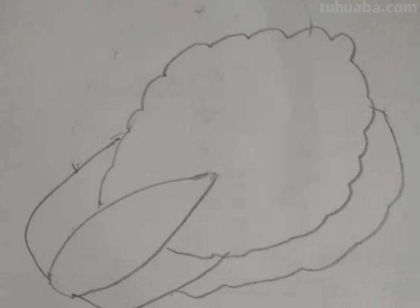 蔬菜怎么画简笔画 胡萝卜简笔画怎么画？