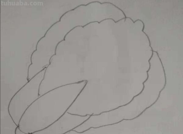 蔬菜怎么画简笔画 胡萝卜简笔画怎么画？