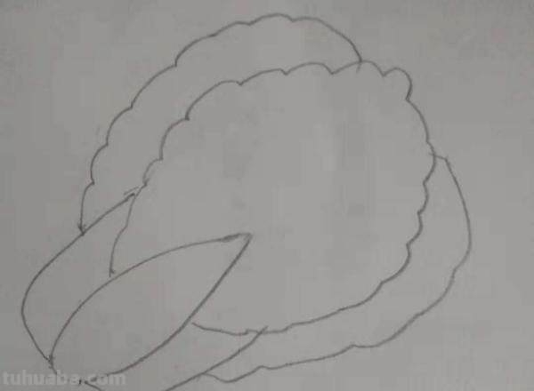 蔬菜怎么画简笔画 胡萝卜简笔画怎么画？