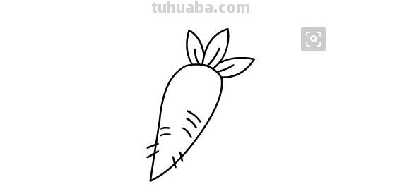 蔬菜怎么画简笔画 胡萝卜简笔画怎么画？