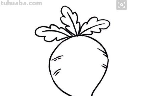 蔬菜怎么画简笔画 胡萝卜简笔画怎么画？