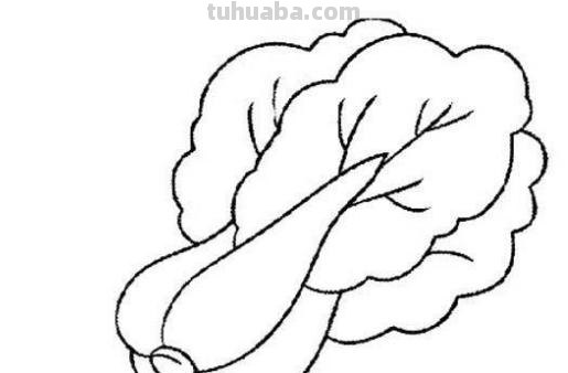 蔬菜怎么画简笔画 胡萝卜简笔画怎么画？