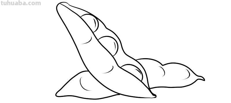 豌豆怎么画简笔画 怎样画一个简单又漂亮的四季豆？