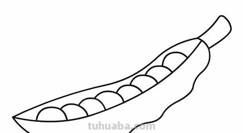豌豆怎么画简笔画 怎样画一个简单又漂亮的四季豆？