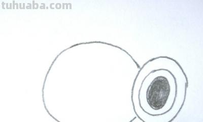 豌豆怎么画简笔画 怎样画一个简单又漂亮的四季豆？