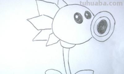 豌豆怎么画简笔画 怎样画一个简单又漂亮的四季豆？