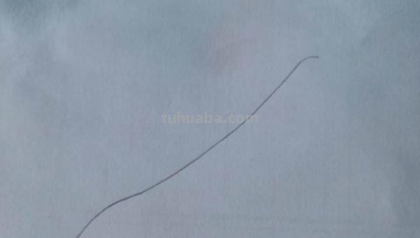 豌豆怎么画简笔画 怎样画一个简单又漂亮的四季豆？