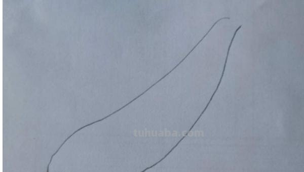 豌豆怎么画简笔画 怎样画一个简单又漂亮的四季豆？