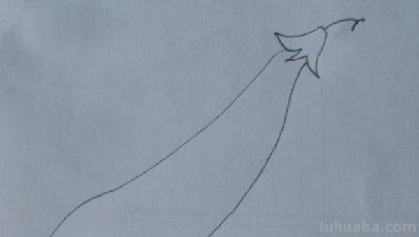 豌豆怎么画简笔画 怎样画一个简单又漂亮的四季豆？