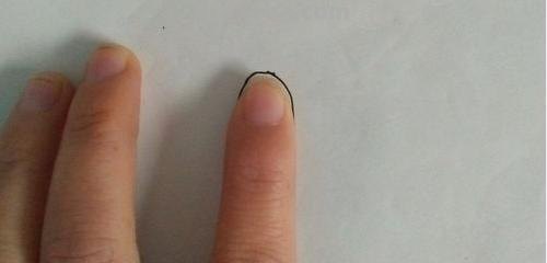 怎么画企鹅简笔画 企鹅画画？