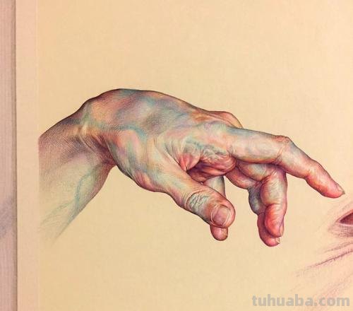 用彩铅怎么画手 人体彩铅素描技巧？