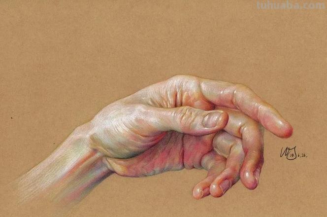 用彩铅怎么画手 人体彩铅素描技巧？