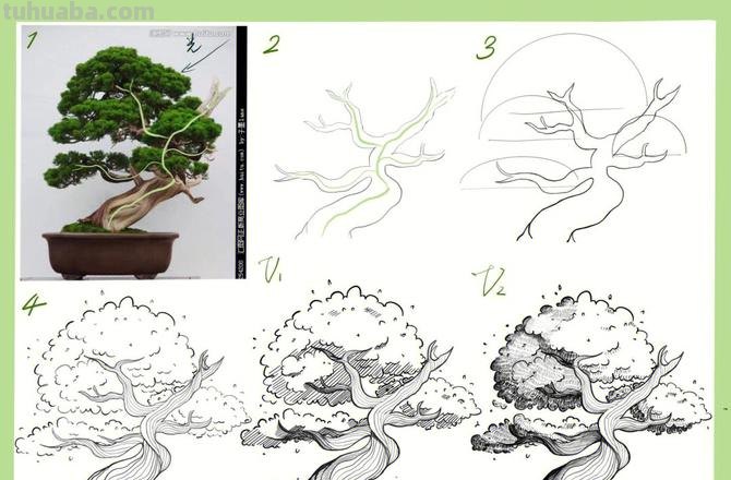 灌木速写树 树木速写技法表现？