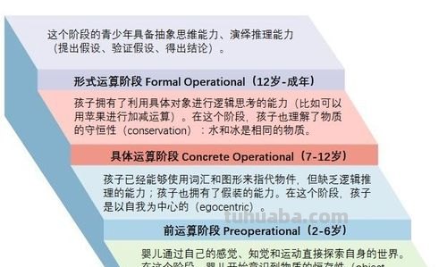皮亚杰把儿童的心理发展划分为 皮亚杰把儿童的心理发展划分为几个阶段