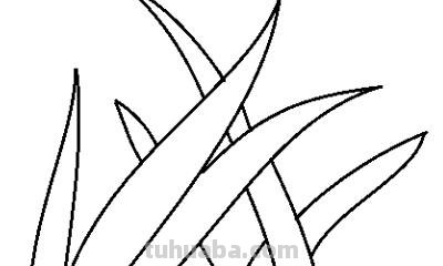 小草怎么画 彩铅图片 小草绘画? 小草怎么画 彩铅图片 小草绘画?