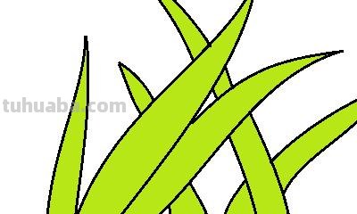 小草怎么画 彩铅图片 小草绘画? 小草怎么画 彩铅图片 小草绘画?