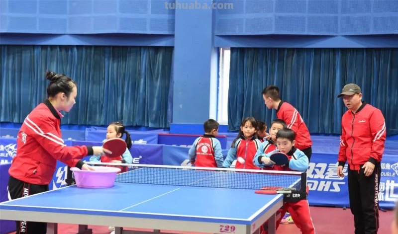 幼儿兴趣班有哪些