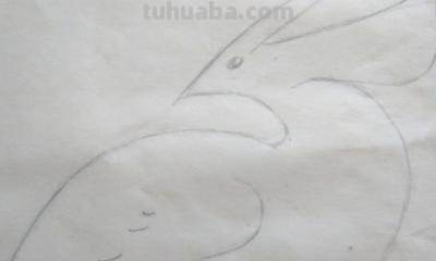 小鸟彩铅手绘怎么画 怎样画鸟【简笔画】？