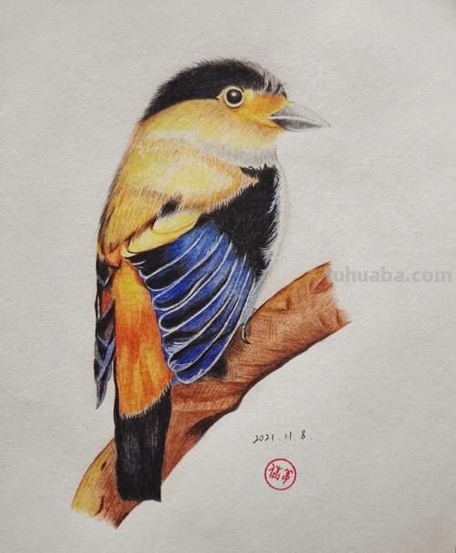 小鸟彩铅手绘怎么画 怎样画鸟【简笔画】？