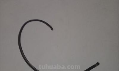 小鸟彩铅手绘怎么画 怎样画鸟【简笔画】？