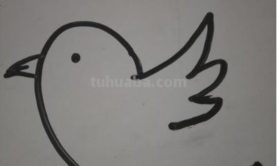 小鸟彩铅手绘怎么画 怎样画鸟【简笔画】？