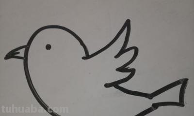 小鸟彩铅手绘怎么画 怎样画鸟【简笔画】？