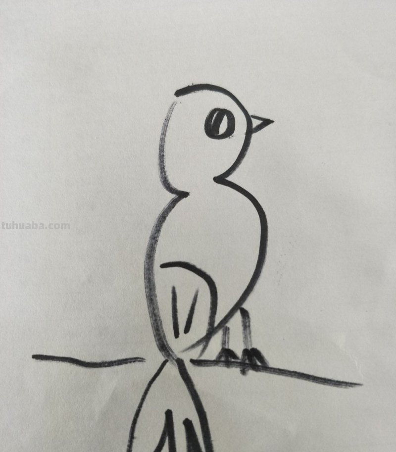 小鸟彩铅手绘怎么画 怎样画鸟【简笔画】？