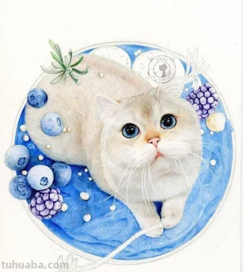 彩铅猫咪铃铛怎么画 彩色铅笔画可爱的小猫咪的教程详细步骤?