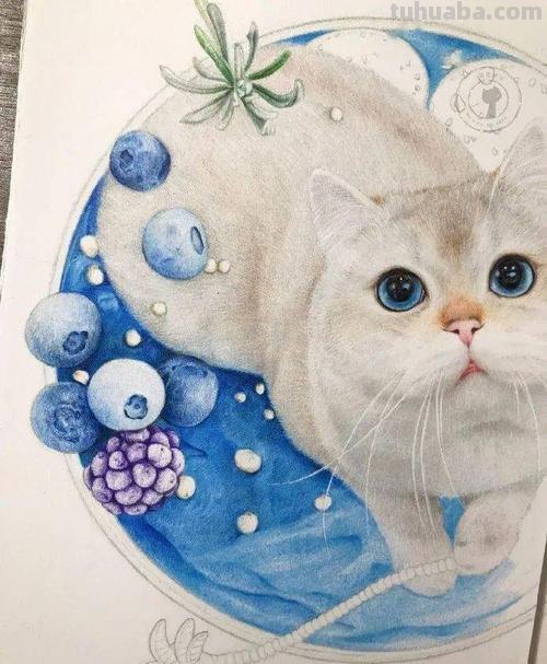 彩铅猫咪铃铛怎么画 彩色铅笔画可爱的小猫咪的教程详细步骤?