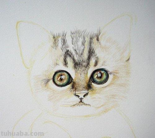 彩铅猫咪铃铛怎么画 彩色铅笔画可爱的小猫咪的教程详细步骤？