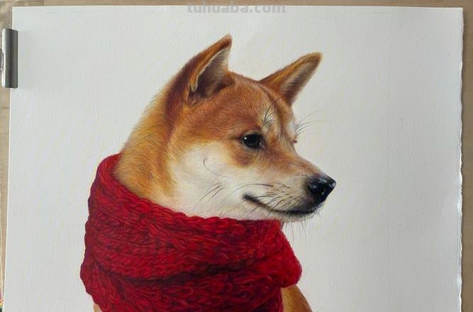 怎么用彩铅画狗 如何画动物？