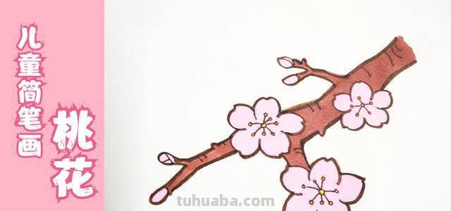花丛怎么画简笔画 如何画一个开满桃花的桃花树卡通儿童简笔画?