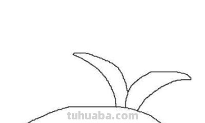 花丛怎么画简笔画 如何画一个开满桃花的桃花树卡通儿童简笔画? 花丛怎么画简笔画 如何画一个开满桃花的桃花树卡通儿童简笔画?