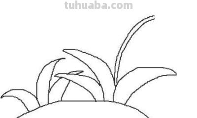 花丛怎么画简笔画 如何画一个开满桃花的桃花树卡通儿童简笔画? 花丛怎么画简笔画 如何画一个开满桃花的桃花树卡通儿童简笔画?