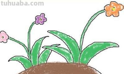 花丛怎么画简笔画 如何画一个开满桃花的桃花树卡通儿童简笔画? 花丛怎么画简笔画 如何画一个开满桃花的桃花树卡通儿童简笔画?