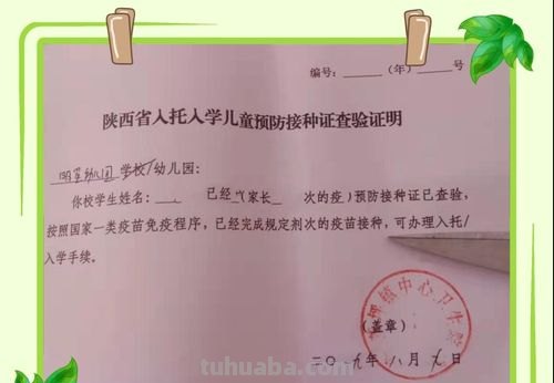 晚一年上幼儿园还收吗 孩子发育迟缓开证明晚上一年