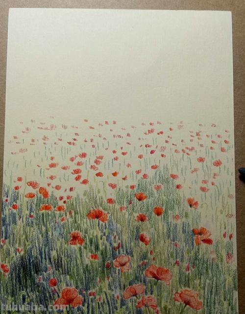 花朵怎么画 彩铅 简单 怎么用彩铅画超简单的花海?