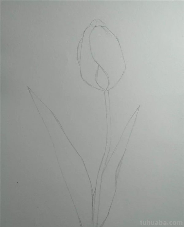 花朵怎么画 彩铅 简单 怎么用彩铅画超简单的花海? 花朵怎么画 彩铅 简单 怎么用彩铅画超简单的花海?