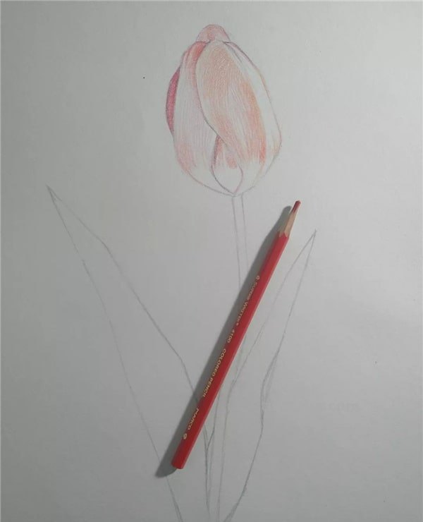 花朵怎么画 彩铅 简单 怎么用彩铅画超简单的花海? 花朵怎么画 彩铅 简单 怎么用彩铅画超简单的花海?