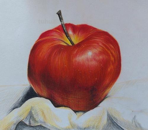 怎么画彩铅素描苹果 用18色的彩铅能画出一个苹果吗？