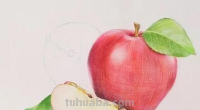 怎么画彩铅素描苹果 用18色的彩铅能画出一个苹果吗？