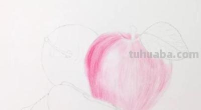 怎么画彩铅素描苹果 用18色的彩铅能画出一个苹果吗？
