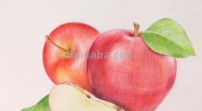 怎么画彩铅素描苹果 用18色的彩铅能画出一个苹果吗？