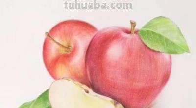 怎么画彩铅素描苹果 用18色的彩铅能画出一个苹果吗？