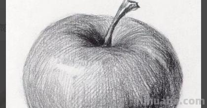 怎么画彩铅素描苹果 用18色的彩铅能画出一个苹果吗？