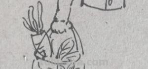 怎么画妈妈简笔画 如何画妈妈的简笔画？