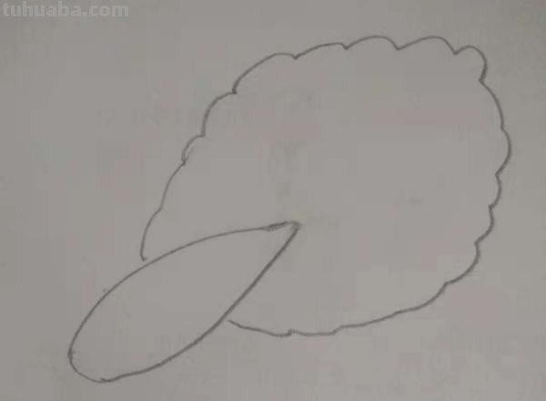 白菜怎么画 彩铅色 白菜色彩怎么调？