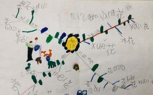 思维导图可以怎么组词 思维导图可以写什么？