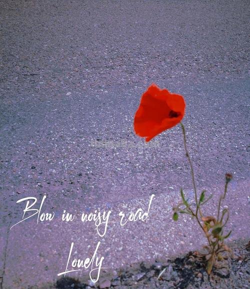 活的色彩及一朵飞行的花改变了我生活的色彩 